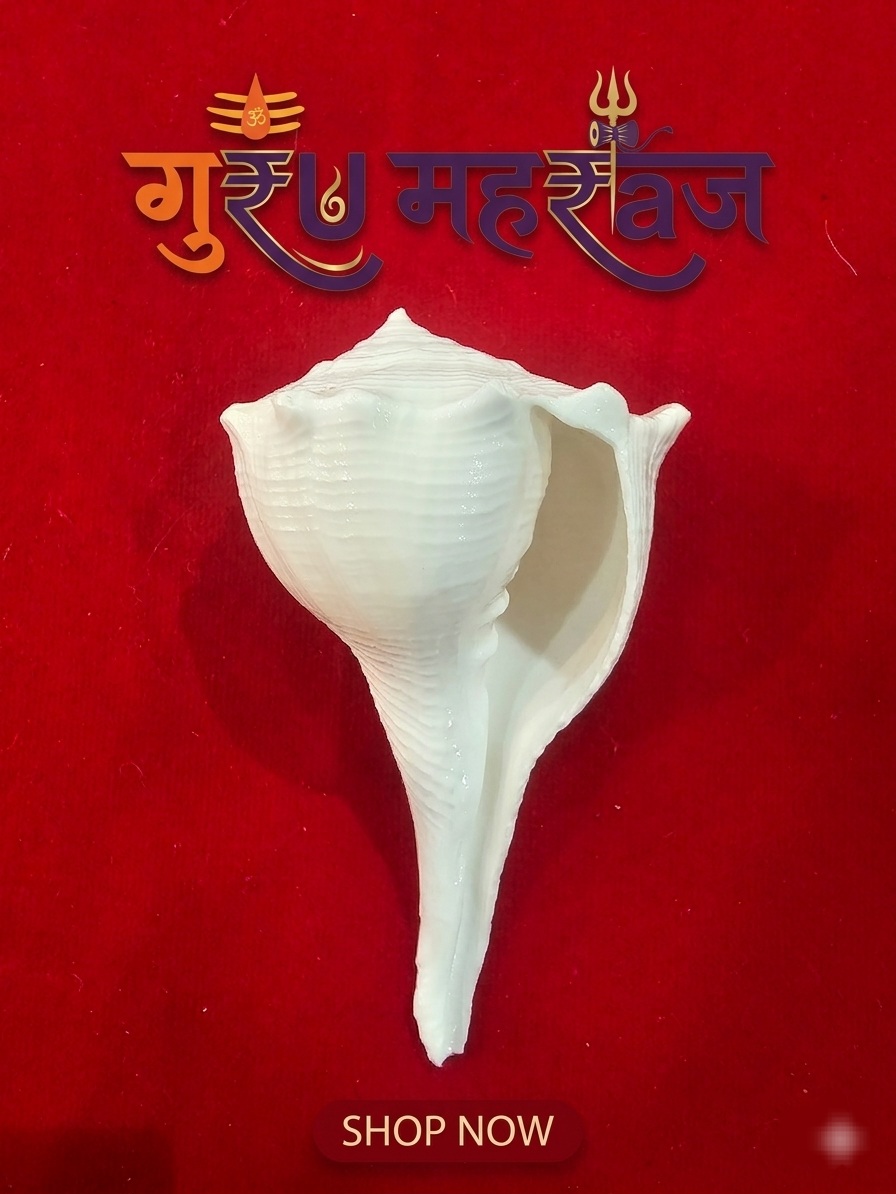 दक्षिणावर्ती शंख (Dakshinavarti Shankh) Brand: Guru Maharaj Store Category: धार्मिक सामग्री / पूजा सामग्री