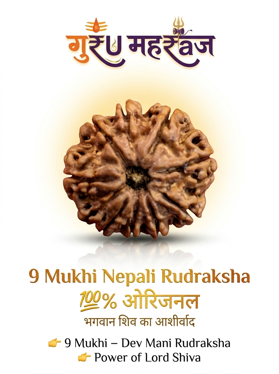 9 मुखी रुद्राक्ष नेपाली 💯% ओरिजनल